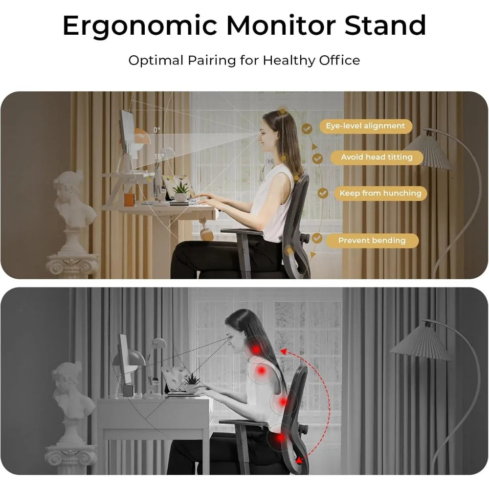 Electric Standing Desk with Drawers, 48 x 24'' Sit Stand up Desk with Monitor Stand, Laptop Stand, Height Adjustable Ergonomic
